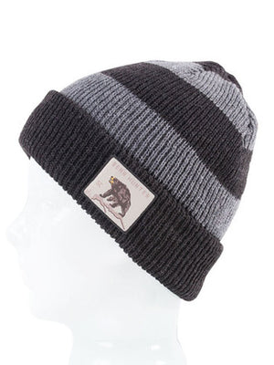 
                  
                    Load image into Gallery viewer, SPACECRAFT TRAPPER BEANIE - GRAY ONE SIZE GRAY BEANIES
                  
                