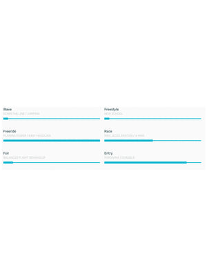 
                  
                    Load image into Gallery viewer, 2025 Duotone Eagle SLS New windsurfing boards
                  
                