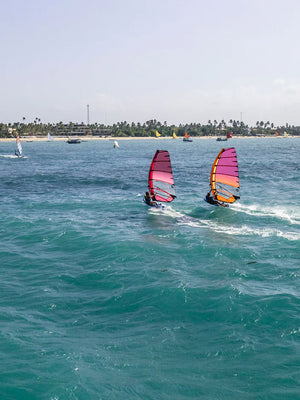 
                  
                    Load image into Gallery viewer, 2025 NeilPryde V8 Flight New windsurfing sails
                  
                