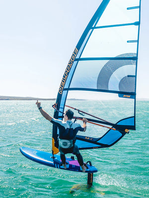 
                  
                    Load image into Gallery viewer, 2023 NeilPryde Ryde New windsurfing sails
                  
                