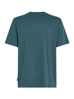 O'Neill Logo T-Shirt - Alma Steel Windsurfing T-Shirts