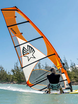 
                  
                    Load image into Gallery viewer, 2023 Ezzy Lion New windsurfing sails
                  
                