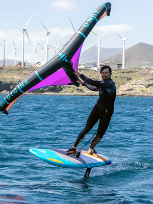 
                  
                    Load image into Gallery viewer, 2021 Fanatic Stingray Foil LTD New windsurfing boards
                  
                