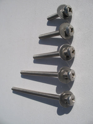 
                  
                    Load image into Gallery viewer, Windsurfing Fin Bolt with washers 100 Windsurfing Spares
                  
                
